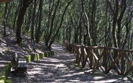 bosco della maddalena ischia